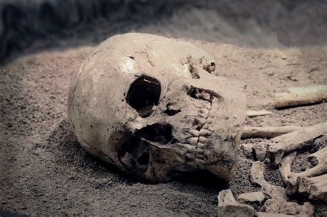 Manusia memiliki rangka dan otot, keduanya memiliki peranan penting dalam sistem gerak manusia. Cara Beli Rumah Murah di Jepang? Carilah Tempat di Mana ...