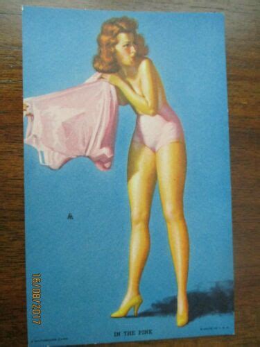 VINTAGE 1940s PIN UP ARCADE MUTOSCOPE CARD IN THE PINK Antique Price