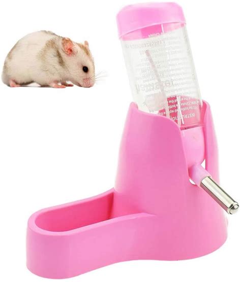 Hamster Water Bottle A Quick Buyers Guide Hamsteropedia