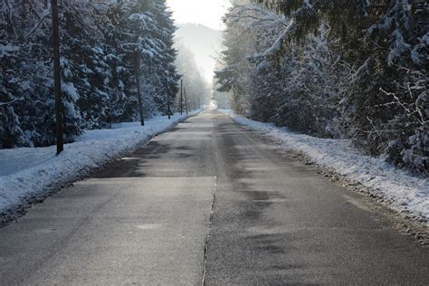 무료 이미지 나무 자연 숲 감기 겨울 도로 서리 아스팔트 날씨 눈이 내리는 레인 시즌 하부 구조