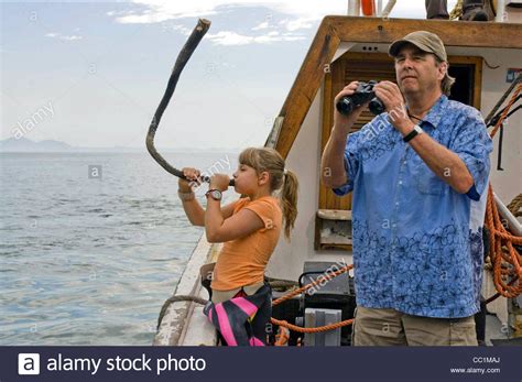 After young kirra (bindi irwin) leaves her australian home to summer with her grandfather (beau bridges) in south africa, she soon discovers a. BINDI IRWIN & BEAU BRIDGES FREE WILLY: ESCAPE FROM PIRATE ...