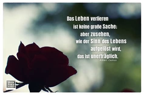 May 02, 2019 · buddhas zitat über den sinn des lebens hat so viel kraft, weil es uns bewusst macht, dass wir unser leben heute in der hand haben und nicht gestern oder morgen. Zitate Ueber Den Sinn Des Lebens / Sinn Des Lebens Zitate 33 Zitate Zum Nachdenken - Paul Donsfult