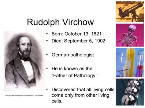 Rudolph Virchow Cell Theory Timeline
