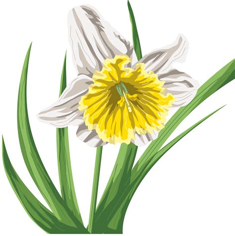 Рисунок с цветком Цветы Картинки Png Галерейка