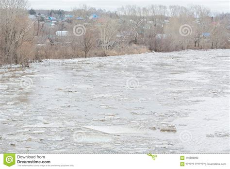 Ice Drift The Ice Has Started On The River The Ice Is Swimming On The