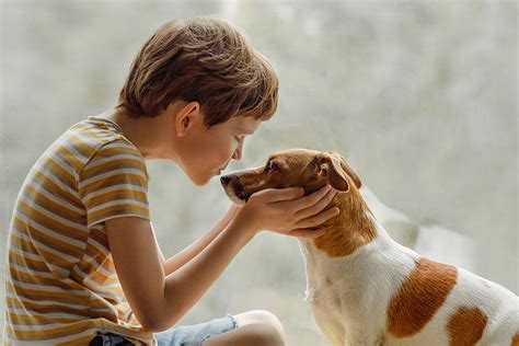 How Old Should My Child Be To Have A Pet Clearly Loved Pets