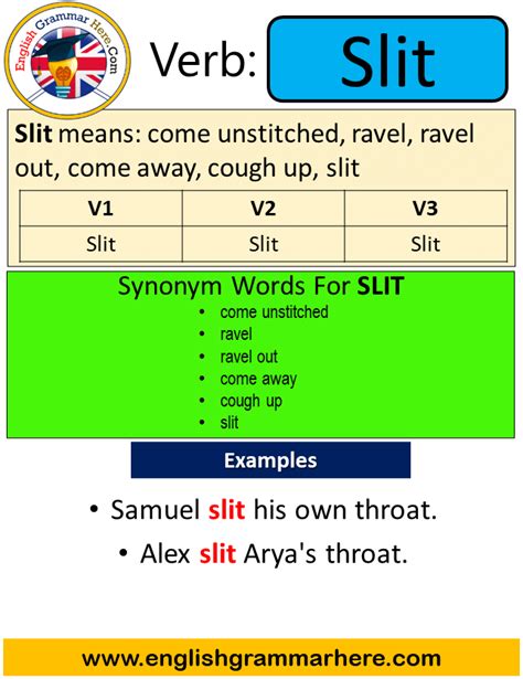 Win Past Simple Simple Past Tense Of Win Past Participle V1 V2 V3 Form