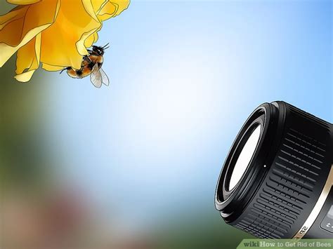 I've discovered two bumble bee nests (or possibly one huge one) right next to my house. How to Get Rid of Bees: 15 Steps (with Pictures) - wikiHow