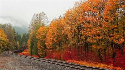 Autumn Foliage In Washington State 2012 Youtube