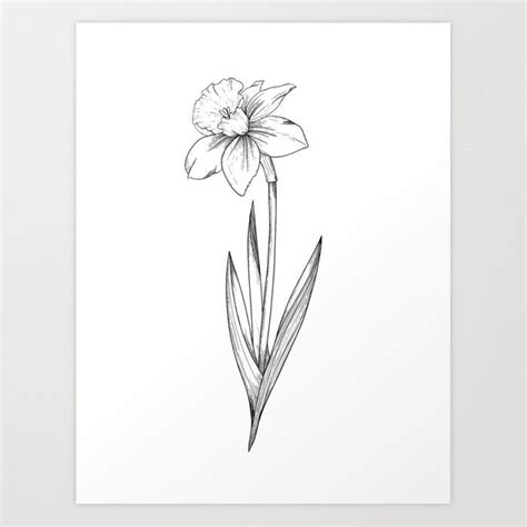 This takes a lot of hard work, but it's all worth it. Daffodil Flower Line Art Art Print by GraphicsbyNel - X ...
