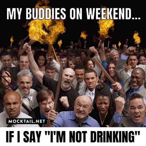 Funny Alcohol Memes To Brighten Your Day