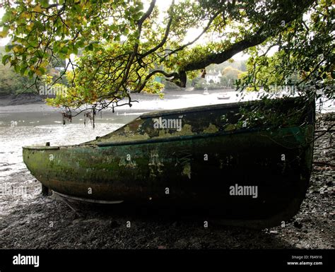 Old Boat Under The Tree On The Edge Of Mylor Creek Mylor Bridge