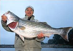 We did not find results for: Catawba River Triple Play Stripers
