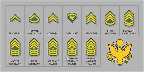 Army enlisted ranks and promotions. How Times Have Changed…Army Rank Insignia Through the Years