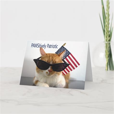 Happy 4th Of July Pawsitively Patriotic Cat Card Zazzle