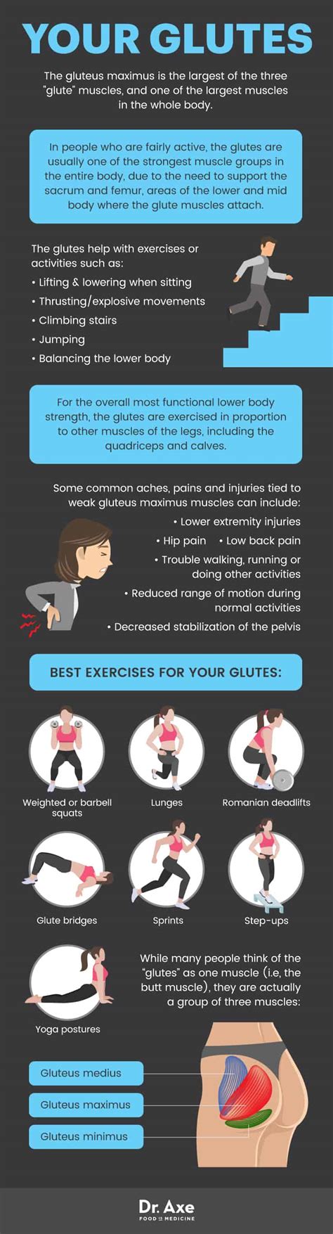 Press the thighs back and gently push the heels as close to the floor as possible while straightening the knees. Gluteus Maximus: Best Exercises & Stretches for the Glutes ...