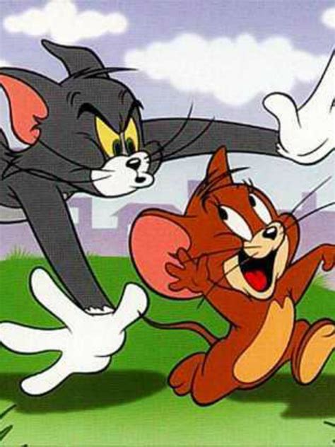 Открыть страницу «tom and jerry» на facebook. Tom e Jerry 1ª temporada - AdoroCinema