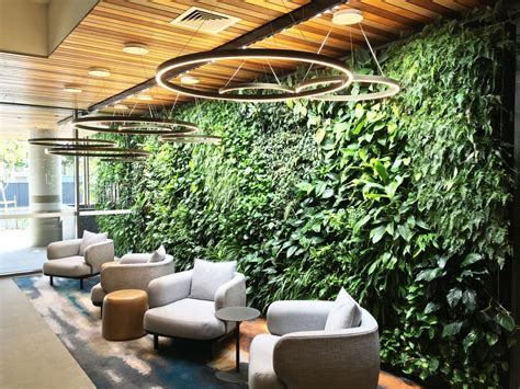 What Are Living Green Walls Benefits And How Theyre Made Living