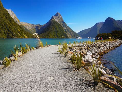 New Zealand Milford Sound Stock Image Image Of Clear 102288025