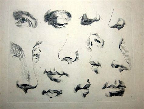 Figure Drawing How To Draw Eyes Nose Ears And Mouths Nose Drawing