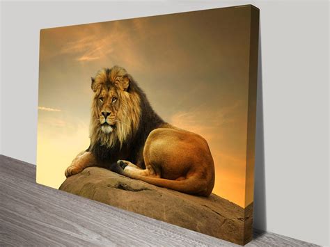 Majestic Lion Art On Canvas