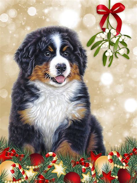 5 X Bernese Mountain Dog Cards Perfect For Christmas Puppy Etsy