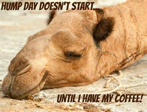 Wednesday Coffee Memes Images Pics To Get Through The Week