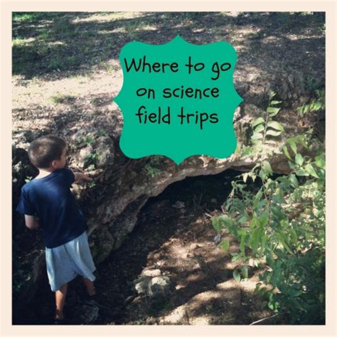 Planning Field Trips For Science The Homeschool Village