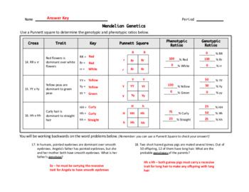 This lets us find the most appropriate writer for any type of assignment. Mendelian Genetics Punnett Square Worksheet by Windham ...