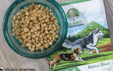 10 Shocking Dog Food Exposés You Need To Know About A Comprehensive