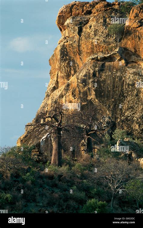 Boulders And Baobab Kingdom Of Mapungubwe Limpopo South Africa Stock
