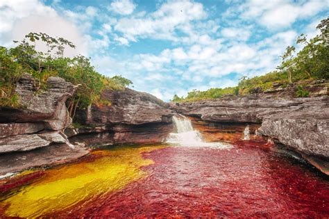 Take Us To: Caño Cristales, Colombia | Cacique Tribe