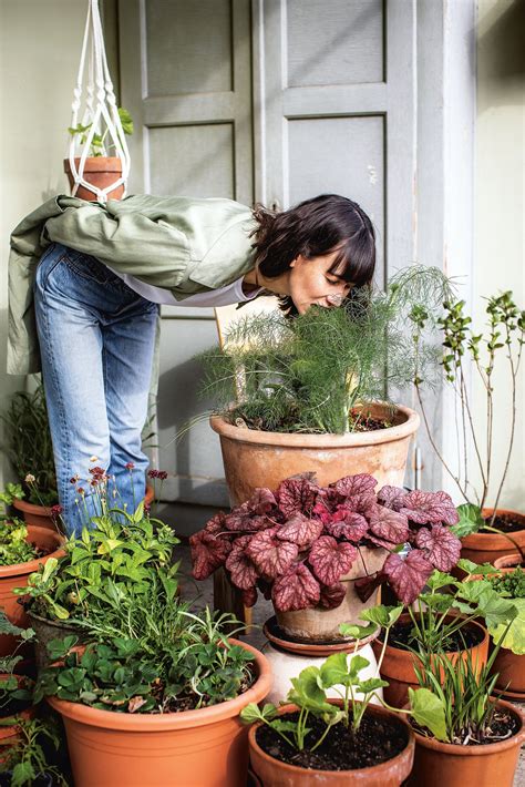 Urban Gardening – Saatgut für ein grüneres Basel | BaselLive - So lebst