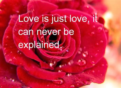 Romantic Valentines Quotes Quotesgram