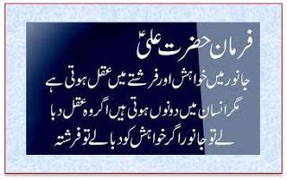 Aqwal E Zareen Beautiful Quotes Hazrat Ali In Urdu Golden Words