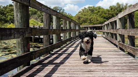 The cost of equipment you need while for our good driver profile, nerdwallet averaged insurance estimates from an average of 14 insurers in. Hernando County, Florida Flood Insurance | Kin Insurance