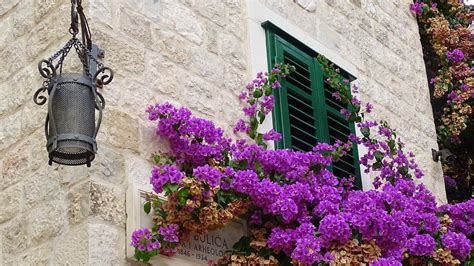 Croatia Split Historic Center Free Photo On Pixabay
