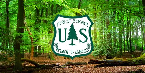 Us Forest Service Job Corps