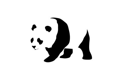 Panda Hd Wallpaper Background Image 2880x1800