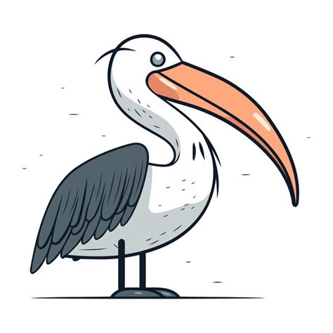 Premium Vector Pelican Bird Vector Illustration Of A Pelican Bird