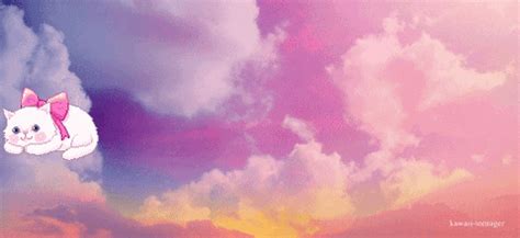 Kawaii Cat GIFs - Find & Share on GIPHY