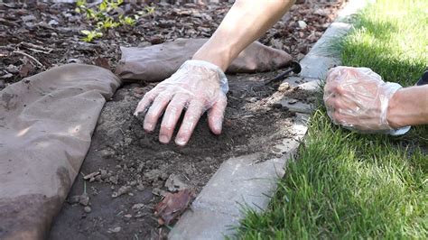 Most people dislike the destruction moles can do to a landscaped yard. Mole Removal Yard - Aumondeduvin.com