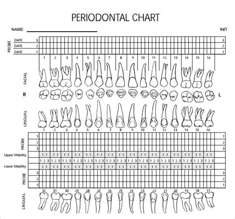 Free Printable Dental Charting Forms Web Chart Includes Periodontal