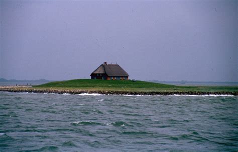 Melde dich hier an, oder erstelle ein neues konto, damit du: Schwimmende Träume in der Nordsee - Elke BackertElke Backert