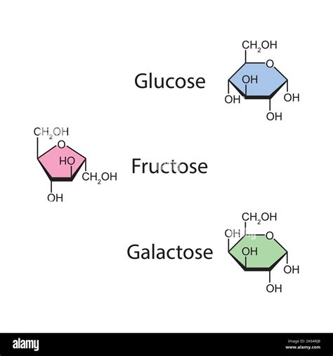 Chemical Illustration Of Monosaccharides Glucose Fructose And