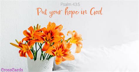 Free Psalm 435 Hope In God Ecard Email Free Personalized Scripture Online