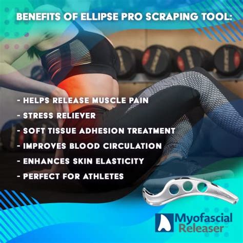 Myofascial Releaser Ellipse Pro Stainless Steel Scraping Massage Tool And Emollient For Iastm