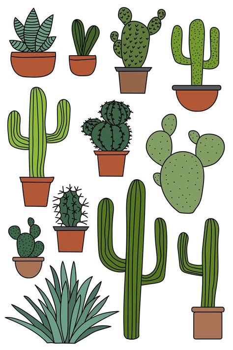 Cactus Clipart Set Hand Drawn Clip Art Illustrations Of Etsy Uk
