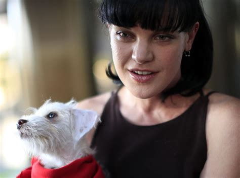 Ncis Actress Pauley Perrette Attacked By A Homeless Man In Hollywood