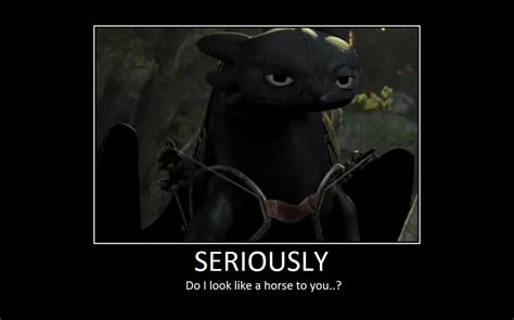 False Or True Toothless From How To Train Your Dragon Acts Like A Cat
